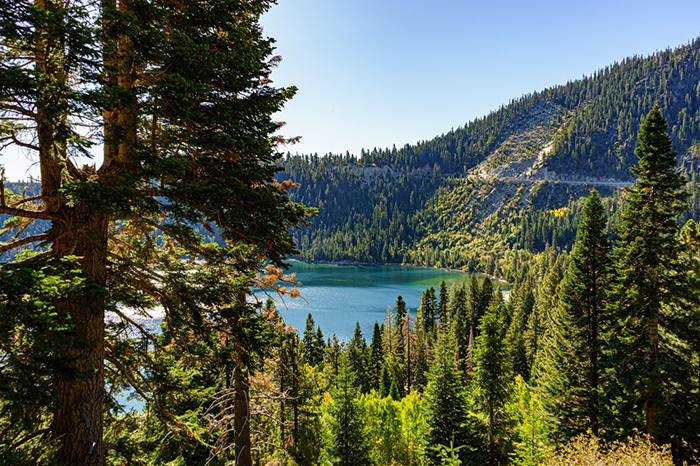 Road-trip Series: Lake Tahoe